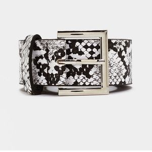 Grey faux snake belt with square buckle
